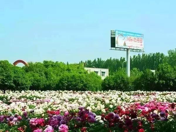 洛阳一日游最美旅游景点（史上最全洛阳旅游精品攻略）(26)