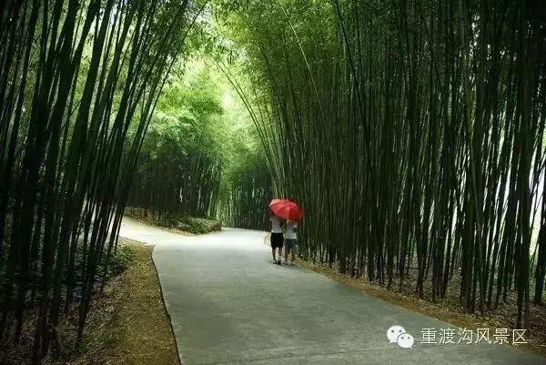 洛阳一日游最美旅游景点（史上最全洛阳旅游精品攻略）(30)