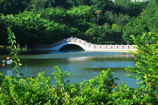 深圳旅游必去的十大景点（吐血整理在深圳）(85)