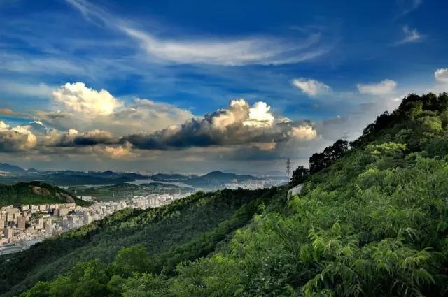 深圳旅游必去的十大景点（吐血整理在深圳）(29)