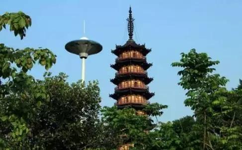 深圳旅游必去的十大景点（吐血整理在深圳）(101)