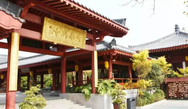 深圳旅游必去的十大景点（吐血整理在深圳）(52)