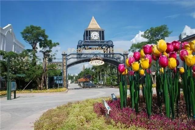 深圳旅游必去的十大景点（吐血整理在深圳）(21)