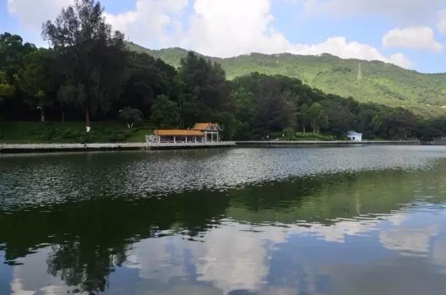 深圳旅游必去的十大景点（吐血整理在深圳）(77)