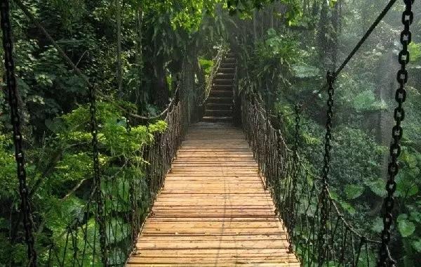 深圳旅游必去的十大景点（吐血整理在深圳）(33)