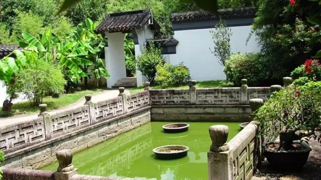 深圳旅游必去的十大景点（吐血整理在深圳）(30)