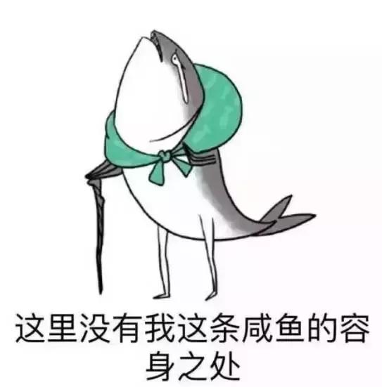 深圳旅游必去的十大景点（吐血整理在深圳）(3)