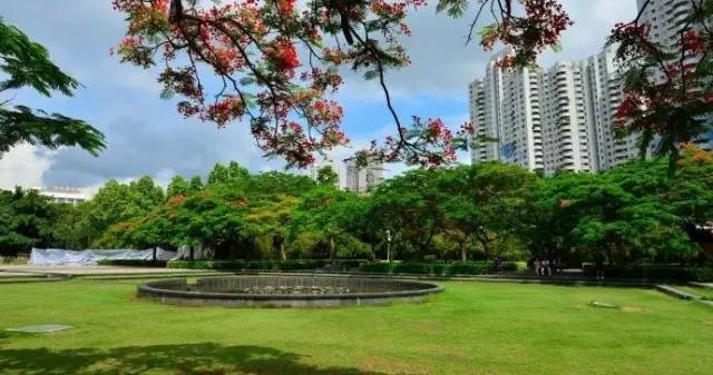 深圳旅游必去的十大景点（吐血整理在深圳）(68)