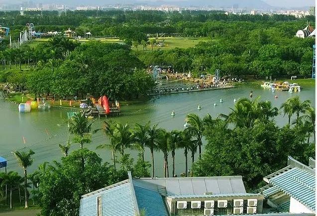 深圳旅游必去的十大景点（吐血整理在深圳）(48)