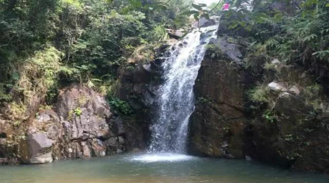 深圳旅游必去的十大景点（吐血整理在深圳）(45)