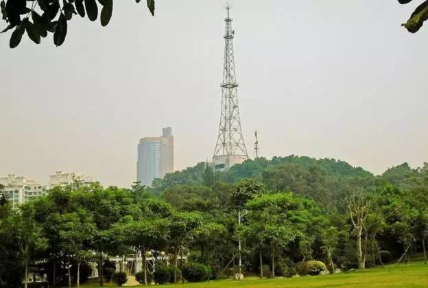 深圳旅游必去的十大景点（吐血整理在深圳）(76)