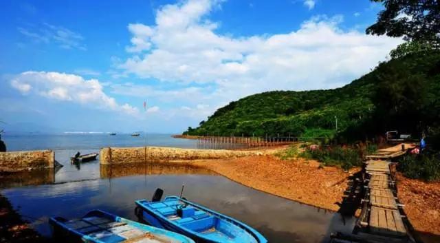深圳旅游必去的十大景点（吐血整理在深圳）(72)