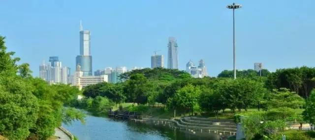 深圳旅游必去的十大景点（吐血整理在深圳）(37)