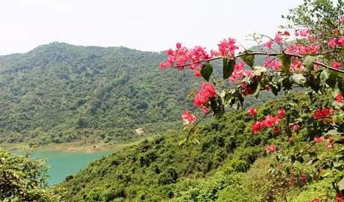 深圳旅游必去的十大景点（吐血整理在深圳）(91)