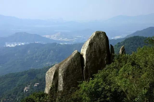 深圳旅游必去的十大景点（吐血整理在深圳）(56)
