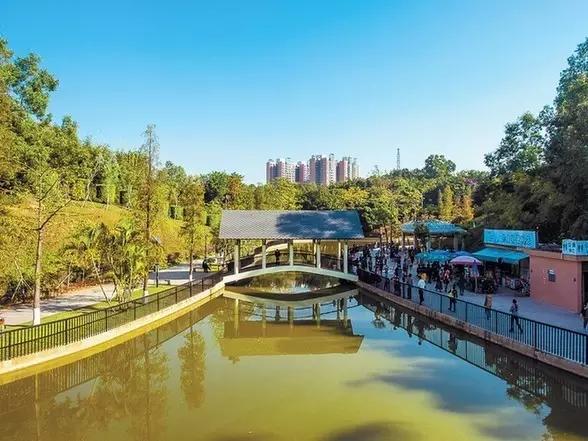 深圳旅游必去的十大景点（吐血整理在深圳）(89)