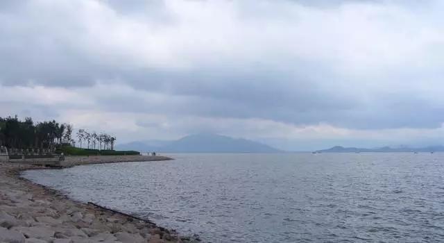 深圳旅游必去的十大景点（吐血整理在深圳）(70)