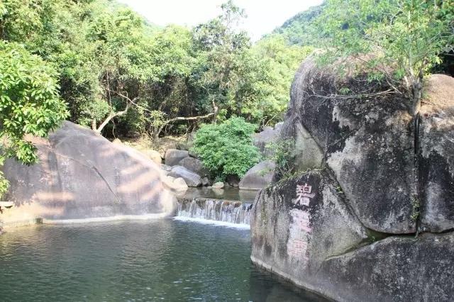 深圳旅游必去的十大景点（吐血整理在深圳）(59)