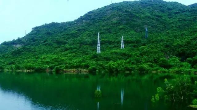 深圳旅游必去的十大景点（吐血整理在深圳）(43)