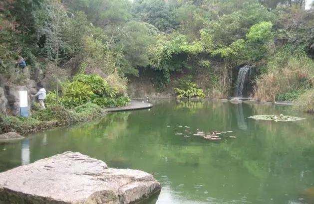 深圳旅游必去的十大景点（吐血整理在深圳）(97)