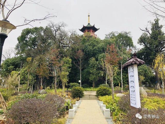 贺州旅游必去十大景点（贺州适合一日游的N个打卡地）(44)