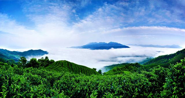 贺州旅游必去十大景点（贺州适合一日游的N个打卡地）(83)