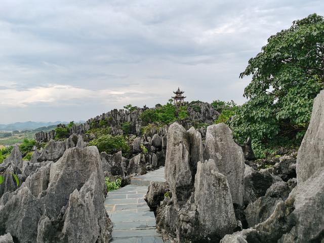 贺州旅游必去十大景点（贺州适合一日游的N个打卡地）(71)