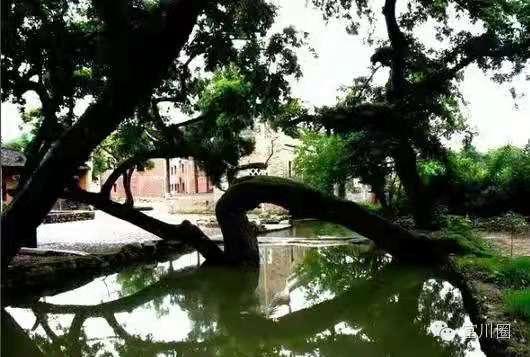 贺州旅游必去十大景点（贺州适合一日游的N个打卡地）(58)