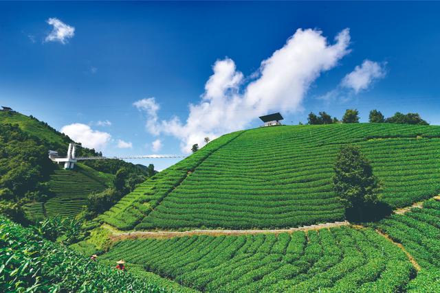 贺州旅游必去十大景点（贺州适合一日游的N个打卡地）(84)