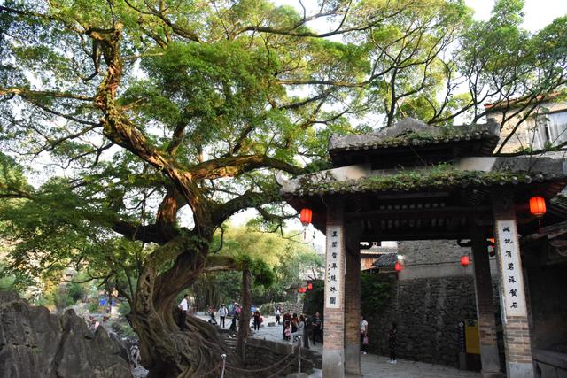 贺州旅游必去十大景点（贺州适合一日游的N个打卡地）(81)