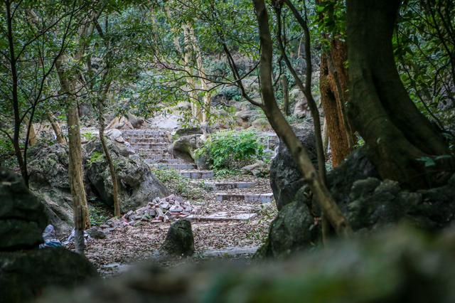 贺州旅游必去十大景点（贺州适合一日游的N个打卡地）(66)