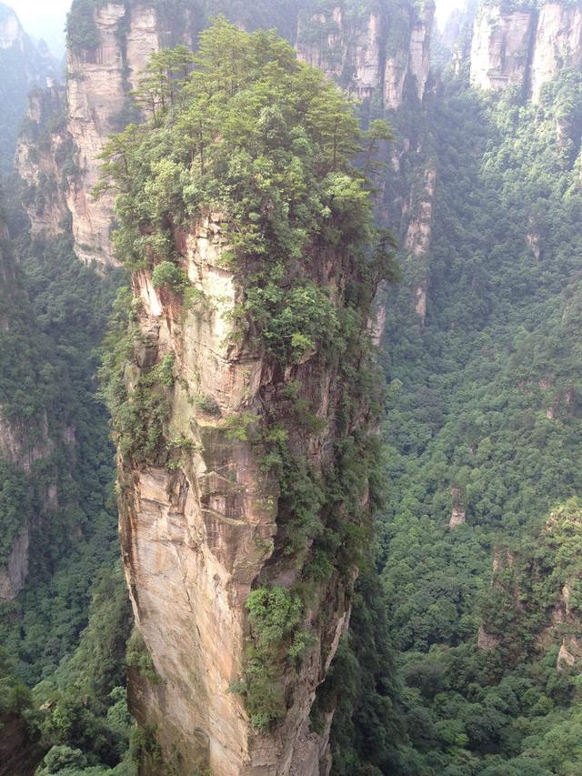 张家界旅游攻略自由行一天攻略（自助游攻略张家界）(120)