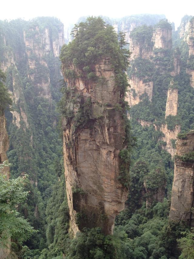 张家界旅游攻略自由行一天攻略（自助游攻略张家界）(126)
