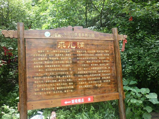 张家界旅游攻略自由行一天攻略（自助游攻略张家界）(36)