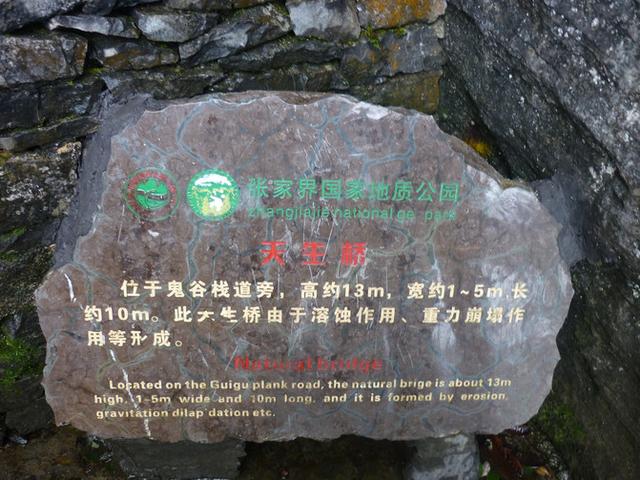 张家界旅游攻略自由行一天攻略（自助游攻略张家界）(51)