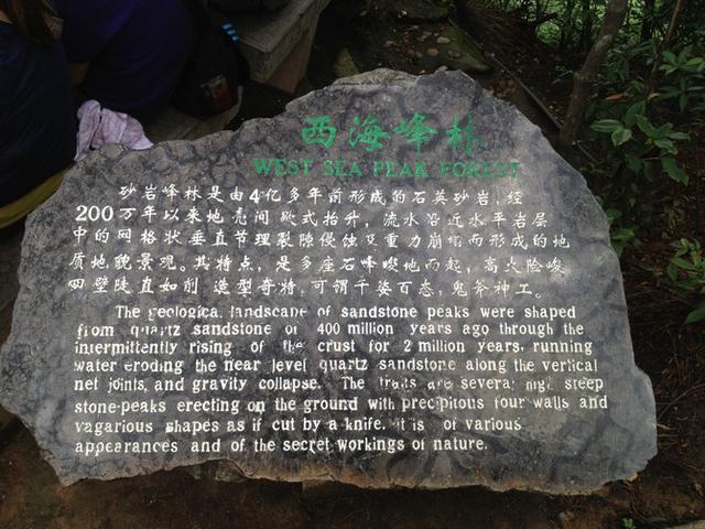 张家界旅游攻略自由行一天攻略（自助游攻略张家界）(145)