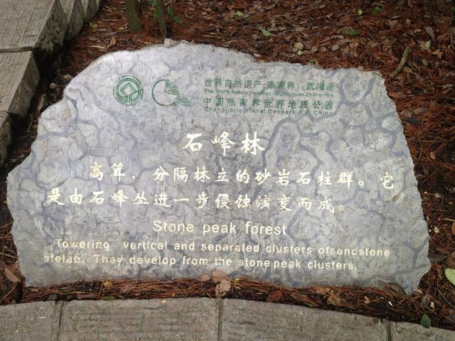 张家界旅游攻略自由行一天攻略（自助游攻略张家界）(153)