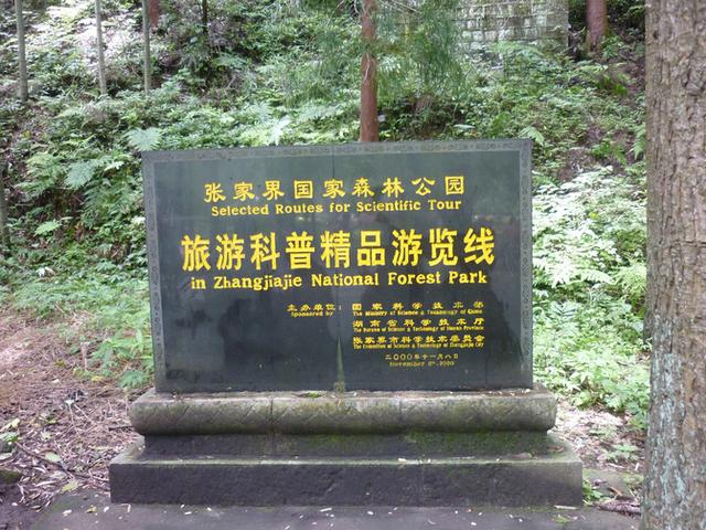 张家界旅游攻略自由行一天攻略（自助游攻略张家界）(97)