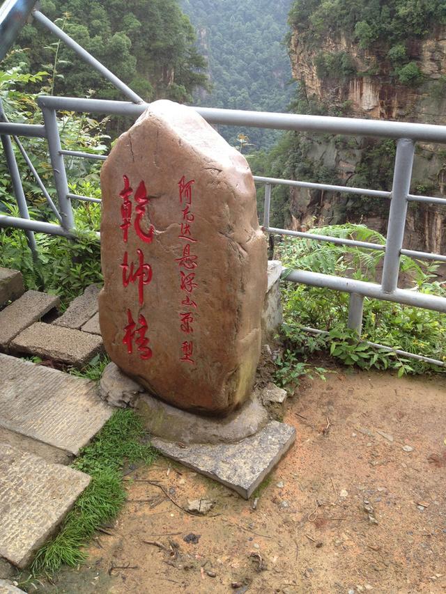 张家界旅游攻略自由行一天攻略（自助游攻略张家界）(127)