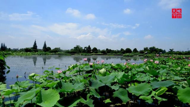 芜湖旅游哪里最好玩的景点（芜湖旅游景点全攻略）(27)