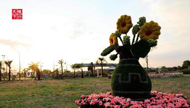 芜湖旅游哪里最好玩的景点（芜湖旅游景点全攻略）(28)