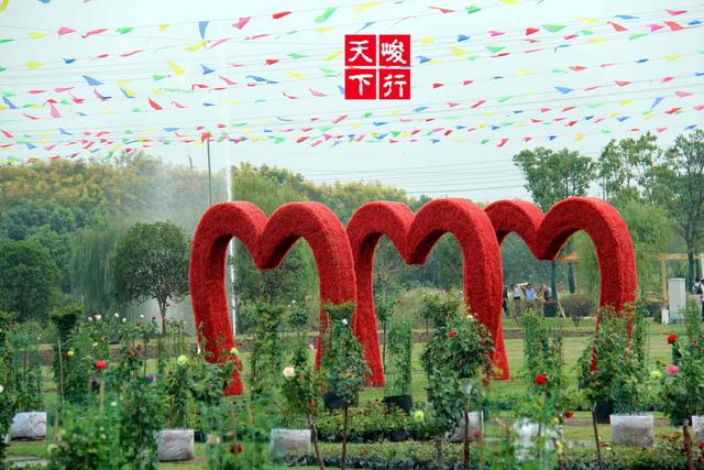 芜湖旅游哪里最好玩的景点（芜湖旅游景点全攻略）(25)