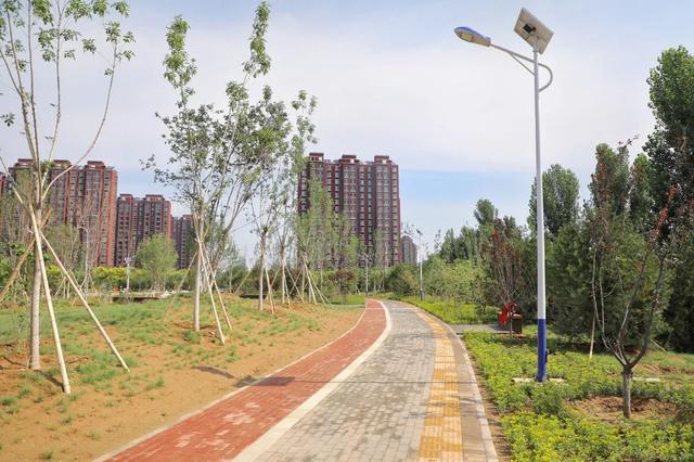 北京市内免费五个最好的公园（北京又添好多新公园）(48)