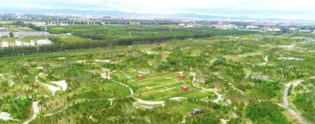 北京市内免费五个最好的公园（北京又添好多新公园）(80)