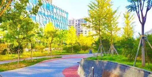 北京市内免费五个最好的公园（北京又添好多新公园）(81)