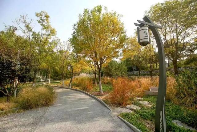 北京市内免费五个最好的公园（北京又添好多新公园）(56)
