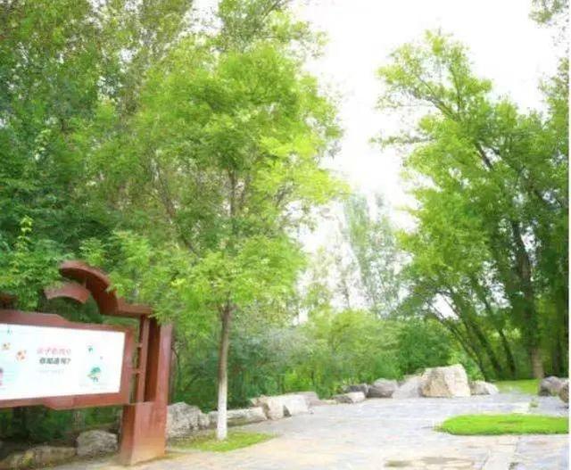 北京市内免费五个最好的公园（北京又添好多新公园）(79)