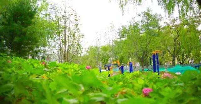 北京市内免费五个最好的公园（北京又添好多新公园）(57)