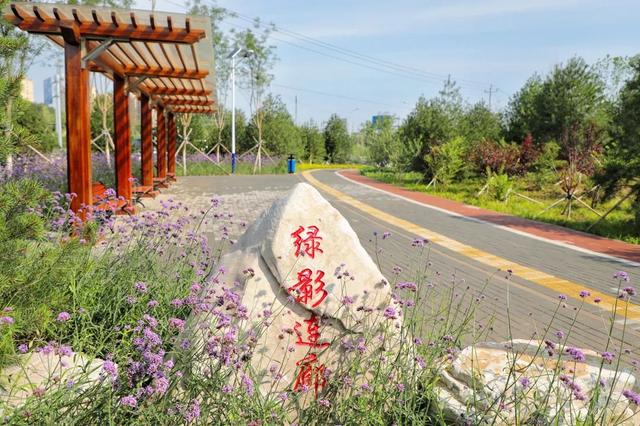 北京市内免费五个最好的公园（北京又添好多新公园）(41)