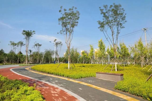 北京市内免费五个最好的公园（北京又添好多新公园）(43)